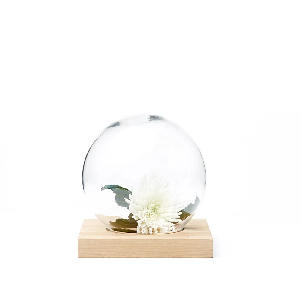 Decoração Space, carvalho branco verniz, vidro A2