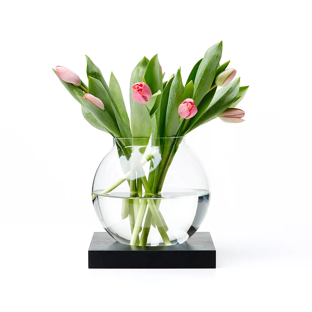 Decoração Space, Carvalho manchado preto, vidro A2