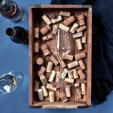 Copo de vinho branco Connoisseur Extravagant 40,5 cl 4 un. - Clear - Aida