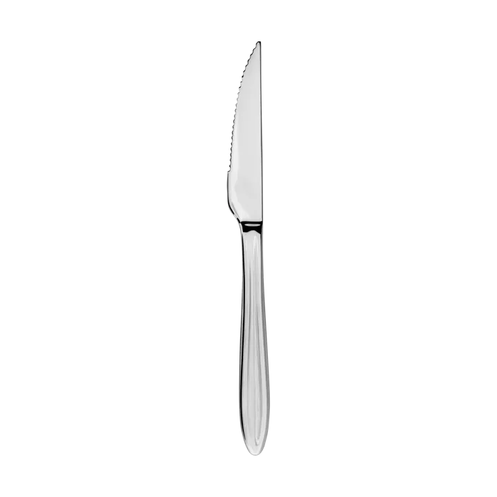 Faca de churrasco Gastro - Aço inoxidável - Aida