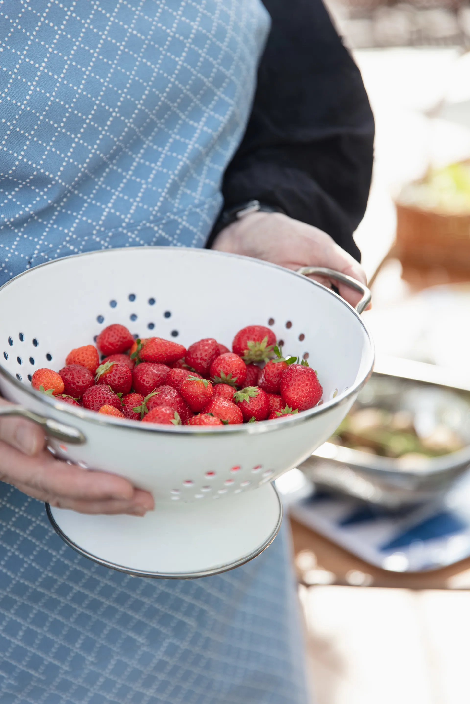 Avental Prickruta, Azul Almedahls