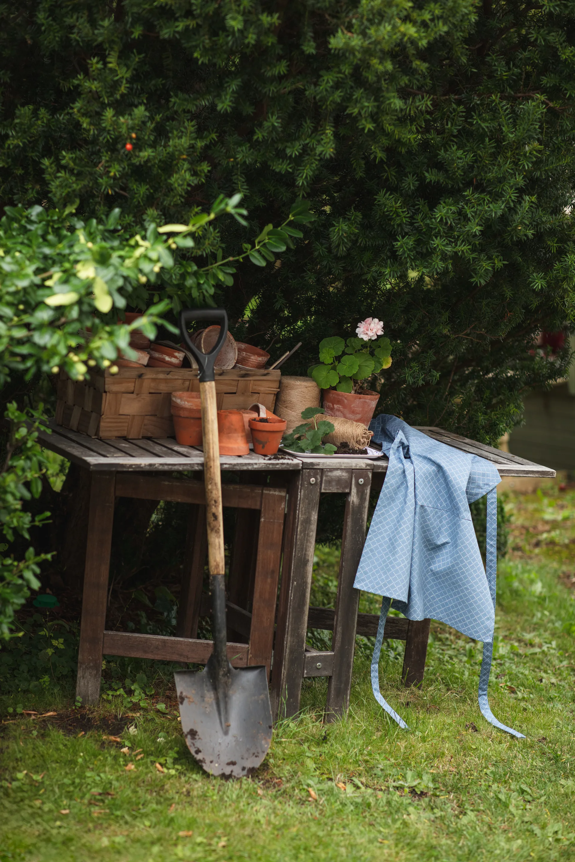 Avental Prickruta, Azul Almedahls