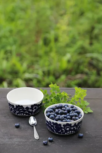 Tigelas mistas Palargeaali & Esteri Arabia, 2 un. - Azul - Arabia