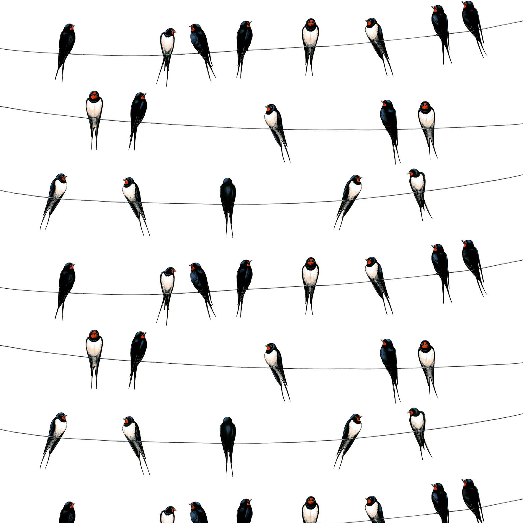 Tecido Ladusvalor, branco Arvidssons Textil