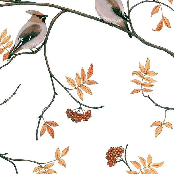 Tecido Sidensvansar, branco-bege Arvidssons Textil