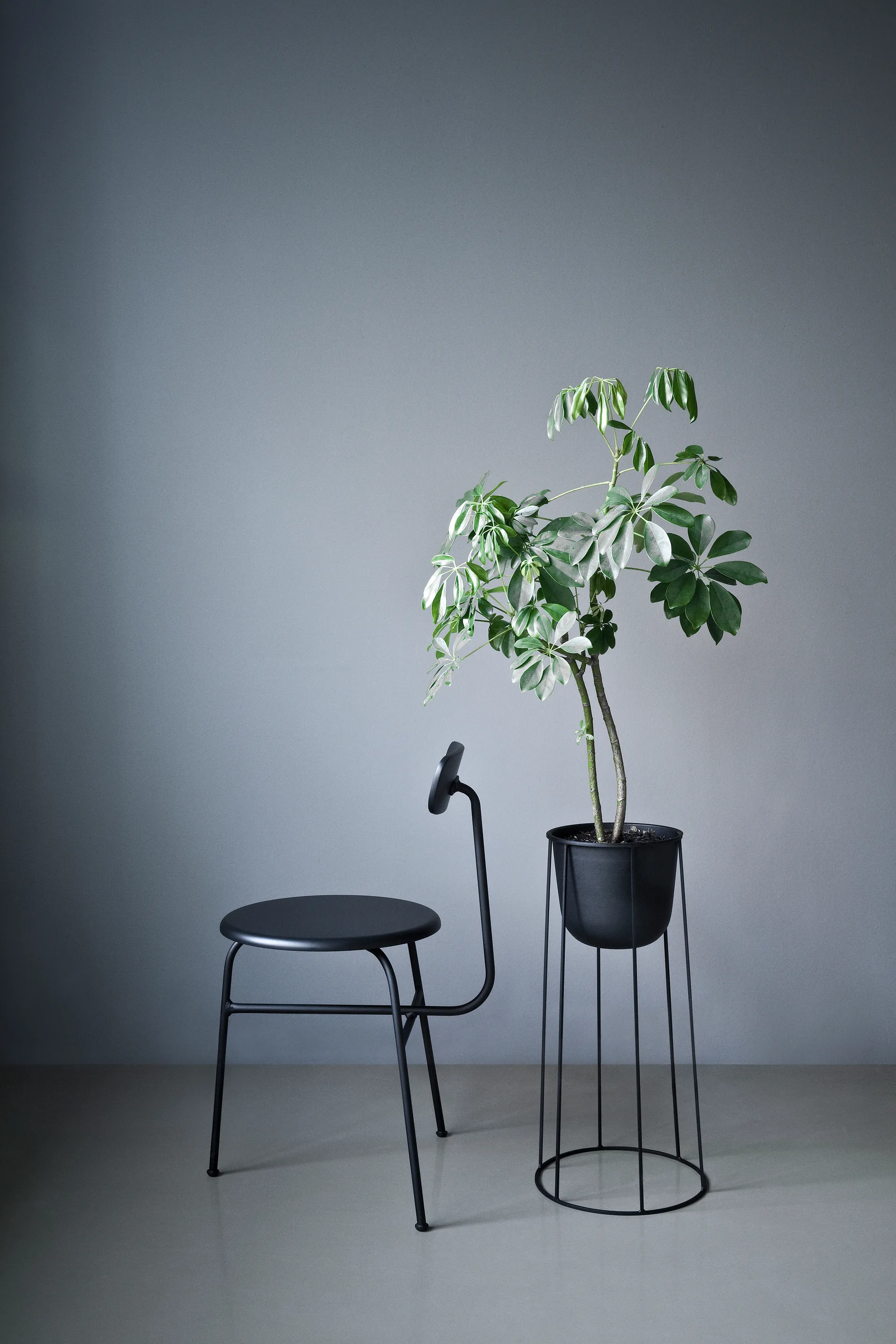 Cadeira Afteroom com assento em pele 4 pernas, Preto-preto Audo Copenhagen