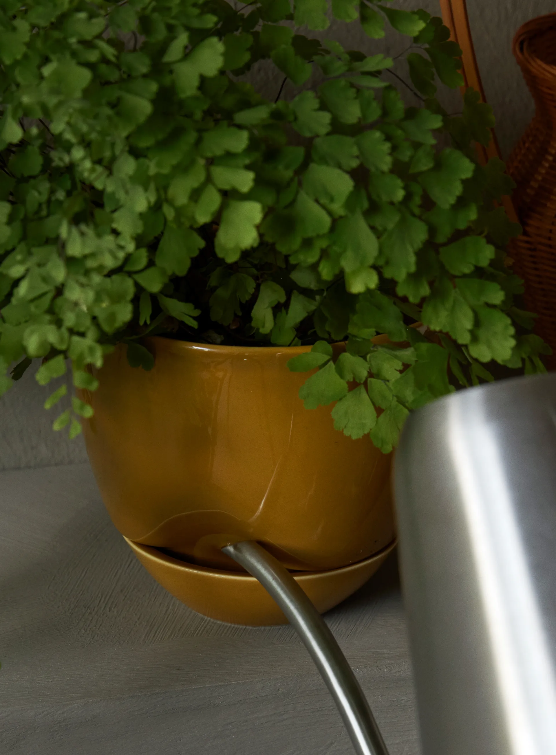 Hydrous vaso de flores Ø12 cm, Ocre Audo Copenhagen