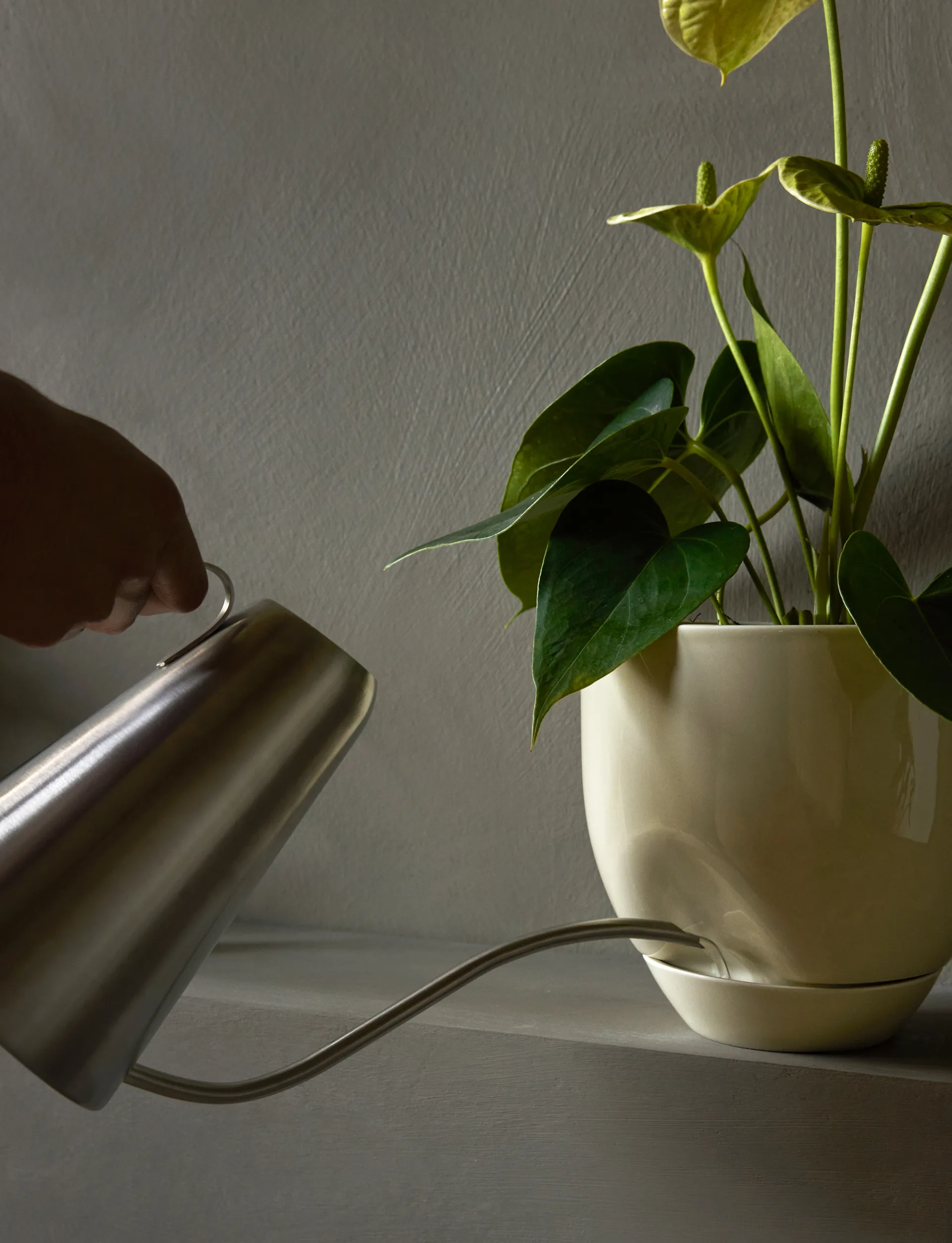 Hydrous vaso de flores Ø20 cm, Cinzento Audo Copenhagen