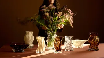Vena vaso - M, Dark cream - AYTM