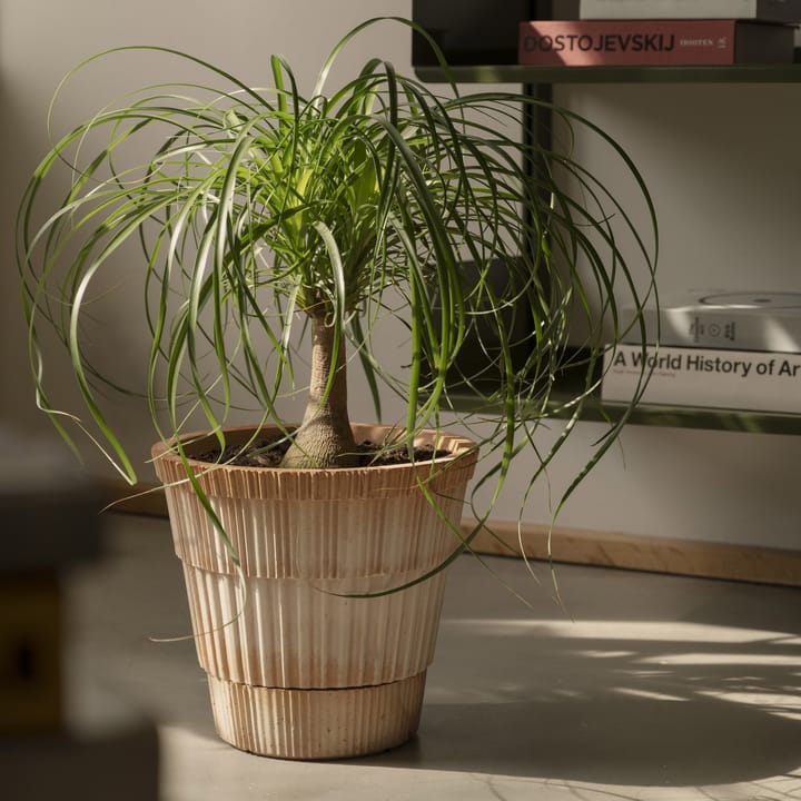 Atlas vaso cru, Rosa, Ø18 cm Bergs Potter