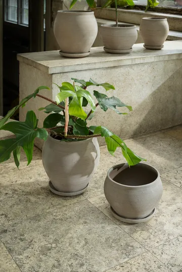 Delphi vaso com prato 2 peças - Cinzento, Ø22 cm, alto - Bergs Potter