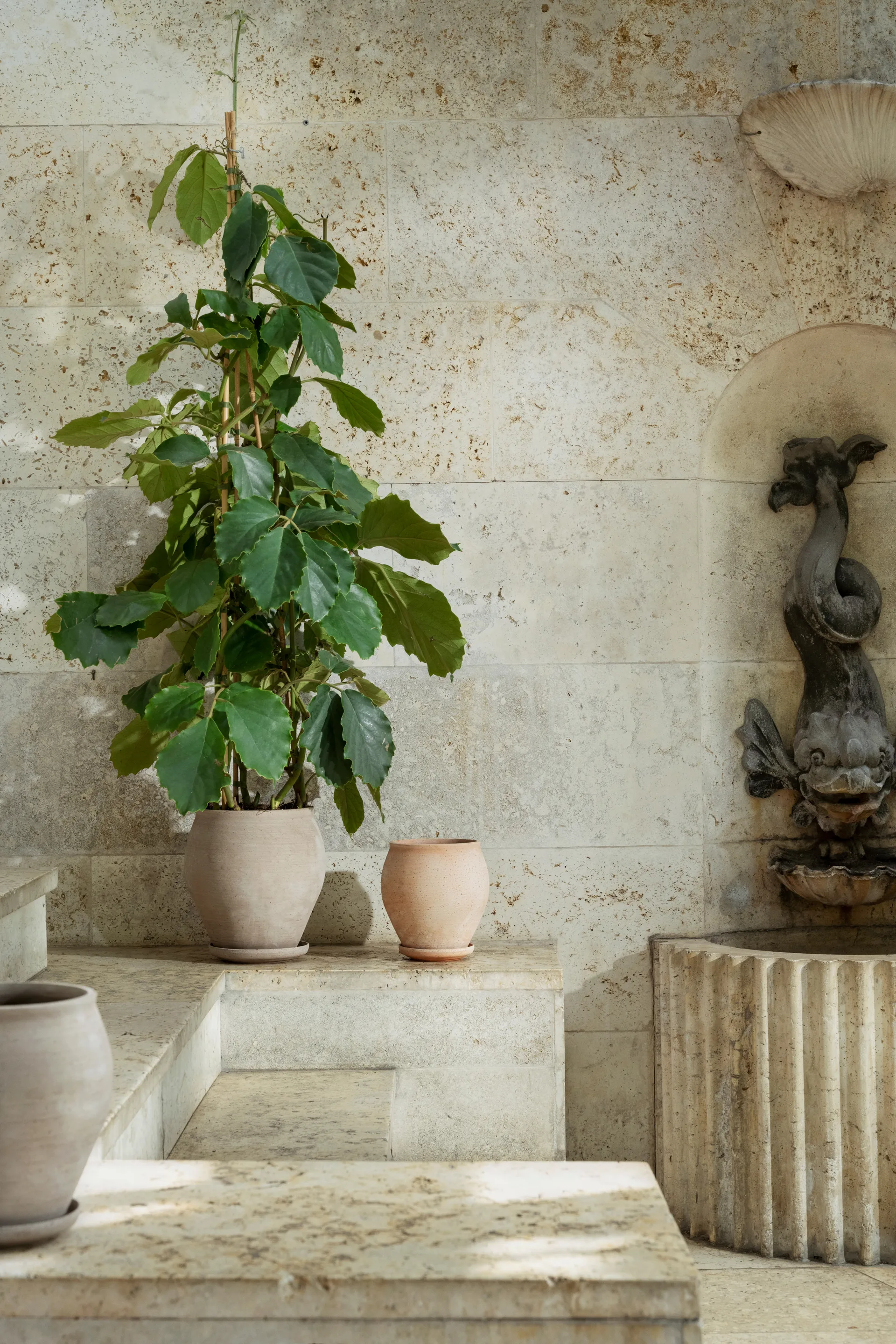 Delphi vaso com prato 2 peças, Cinzento, Ø22 cm, alto Bergs Potter