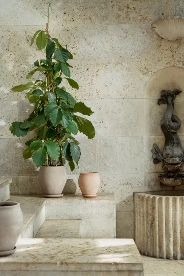 Delphi vaso com prato 2 peças - Cinzento, Ø22 cm, alto - Bergs Potter