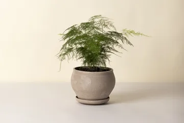 Delphi vaso com prato 2 peças - Cinzento, Ø24 cm, baixo - Bergs Potter