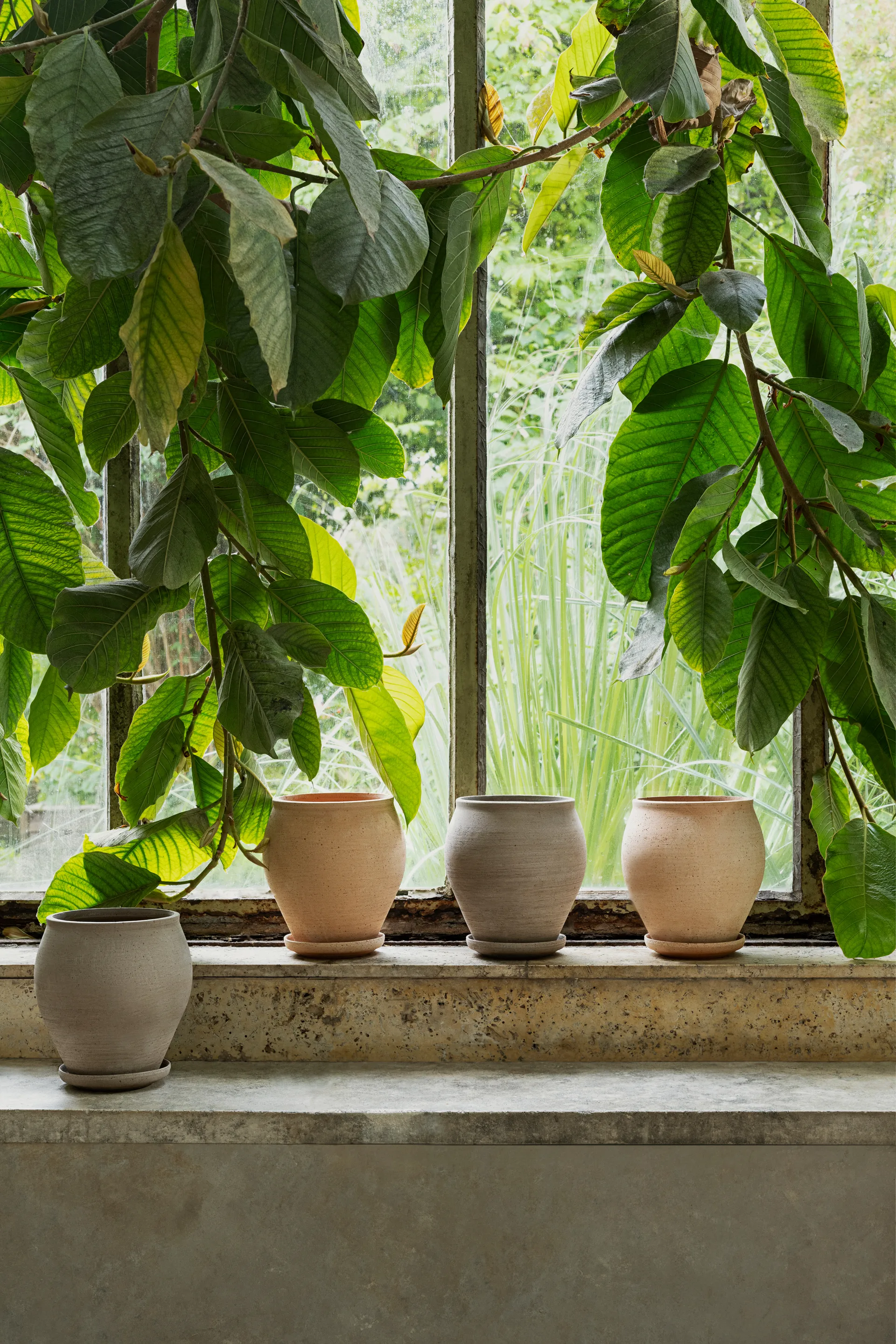 Delphi vaso com prato 2 peças, Rosa, Ø20 cm Bergs Potter