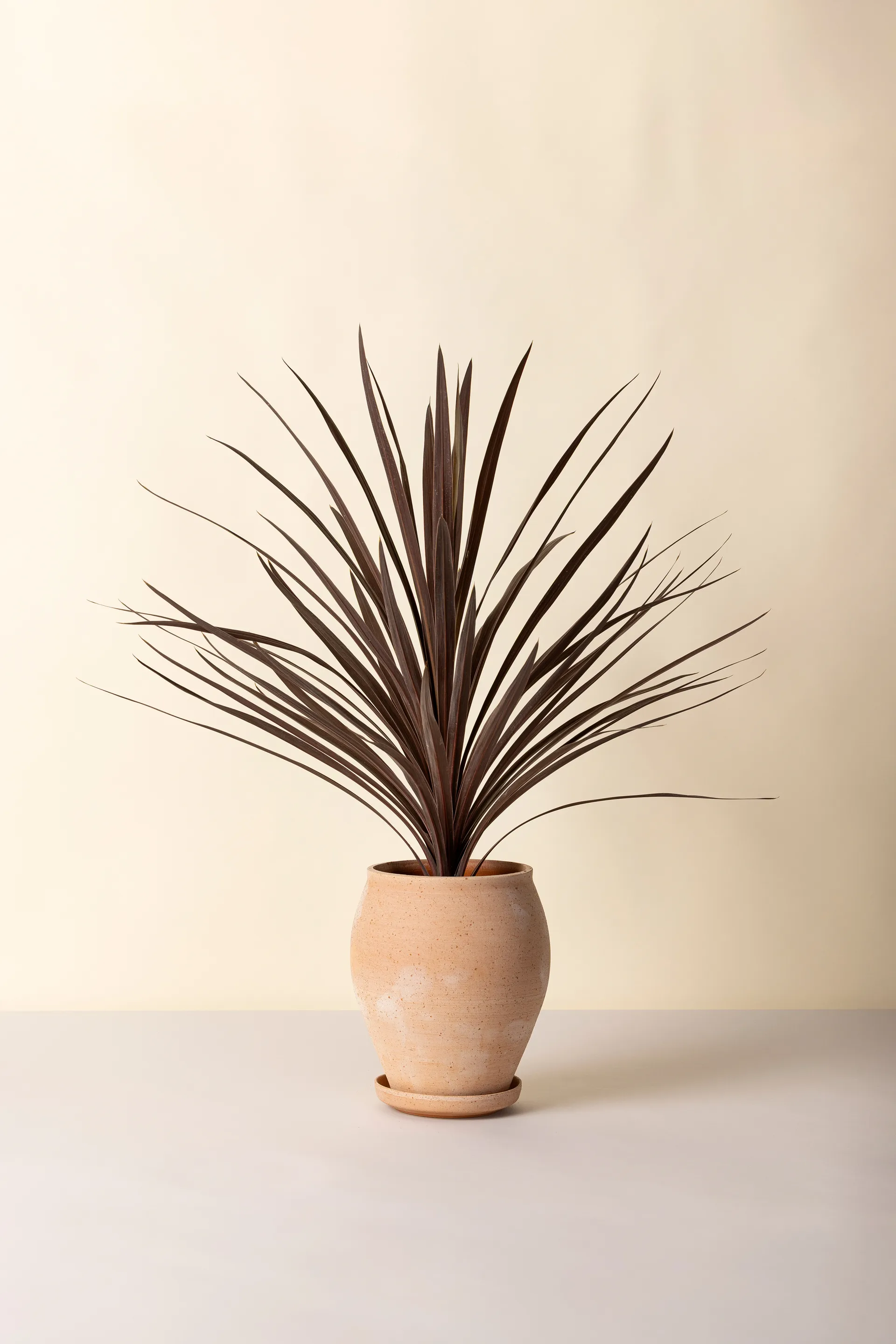 Delphi vaso com prato 2 peças, Rosa, Ø22 cm, alto Bergs Potter