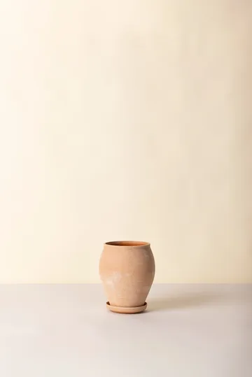 Delphi vaso com prato 2 peças - Rosa, Ø22 cm, alto - Bergs Potter