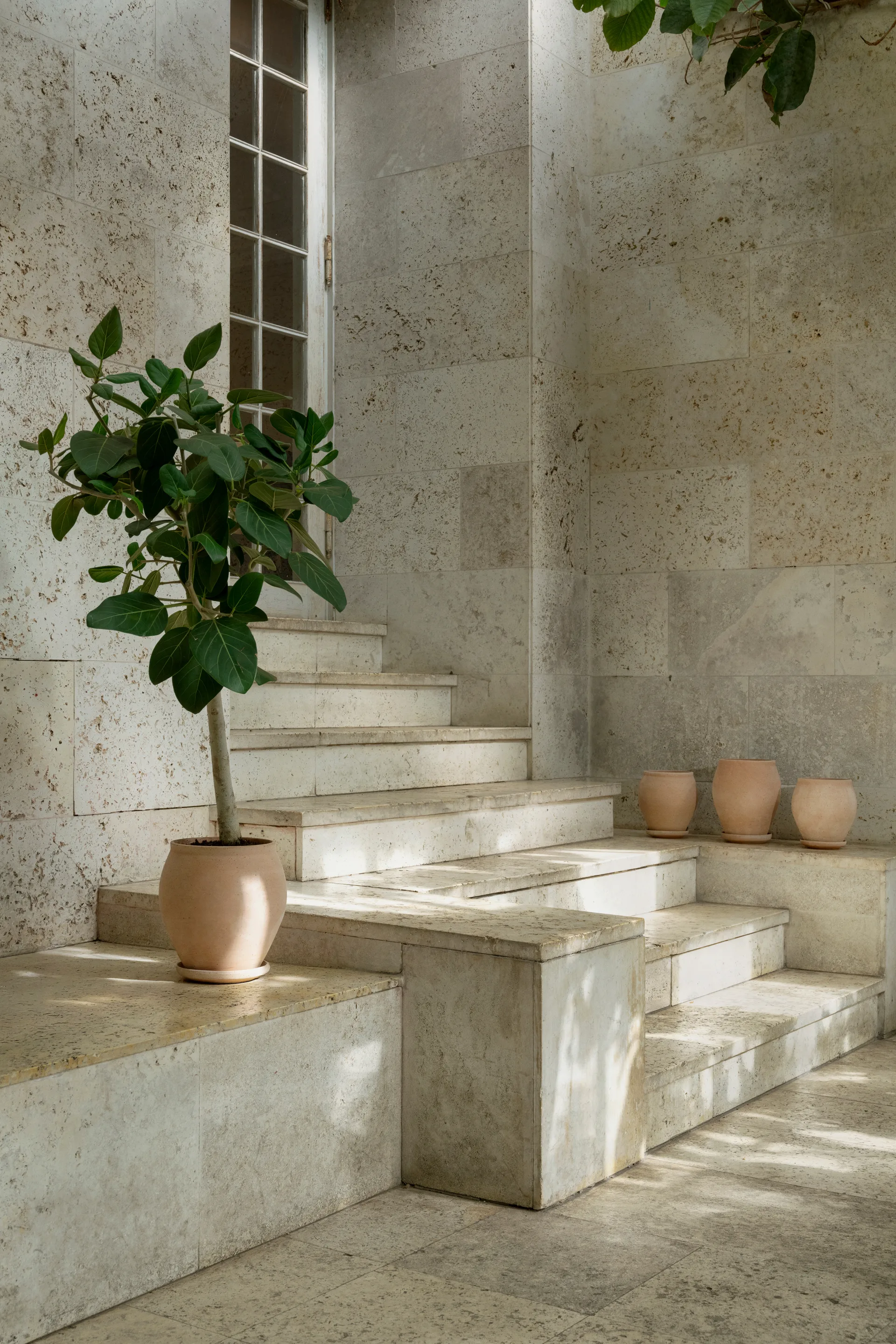 Delphi vaso com prato 2 peças, Rosa, Ø22 cm, alto Bergs Potter