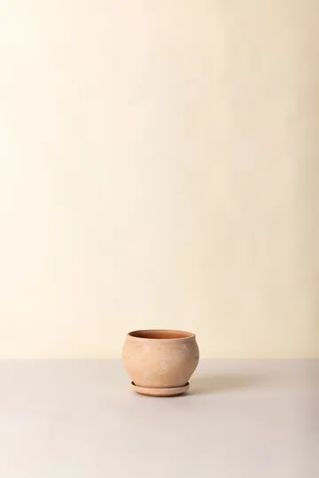 Delphi vaso com prato 2 peças - Rosa, Ø24 cm, baixo - Bergs Potter