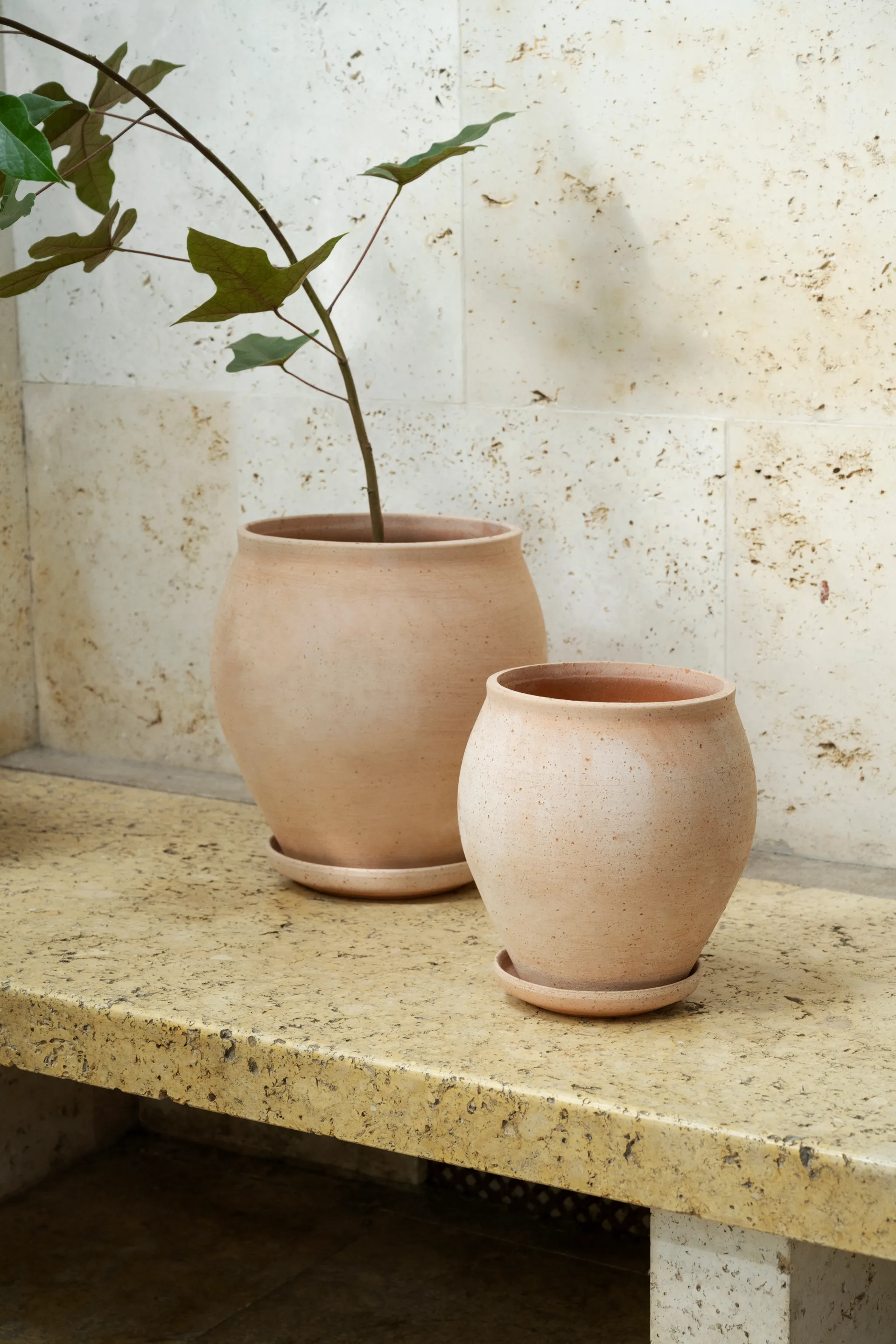 Delphi vaso com prato 2 peças, Rosa, Ø26 cm Bergs Potter