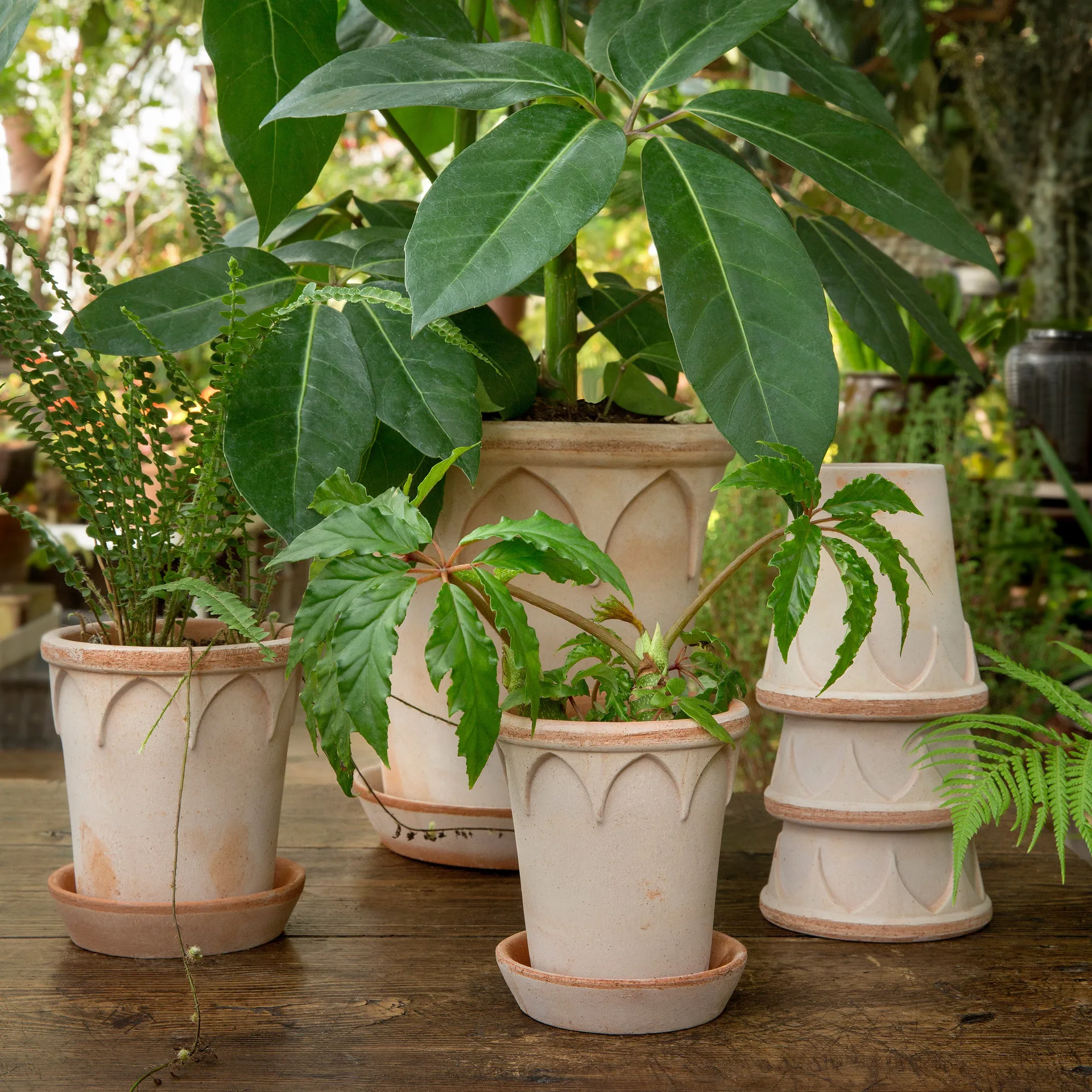 Elizabeth pote de flores Ø12 cm, cor-de-rosa Bergs Potter