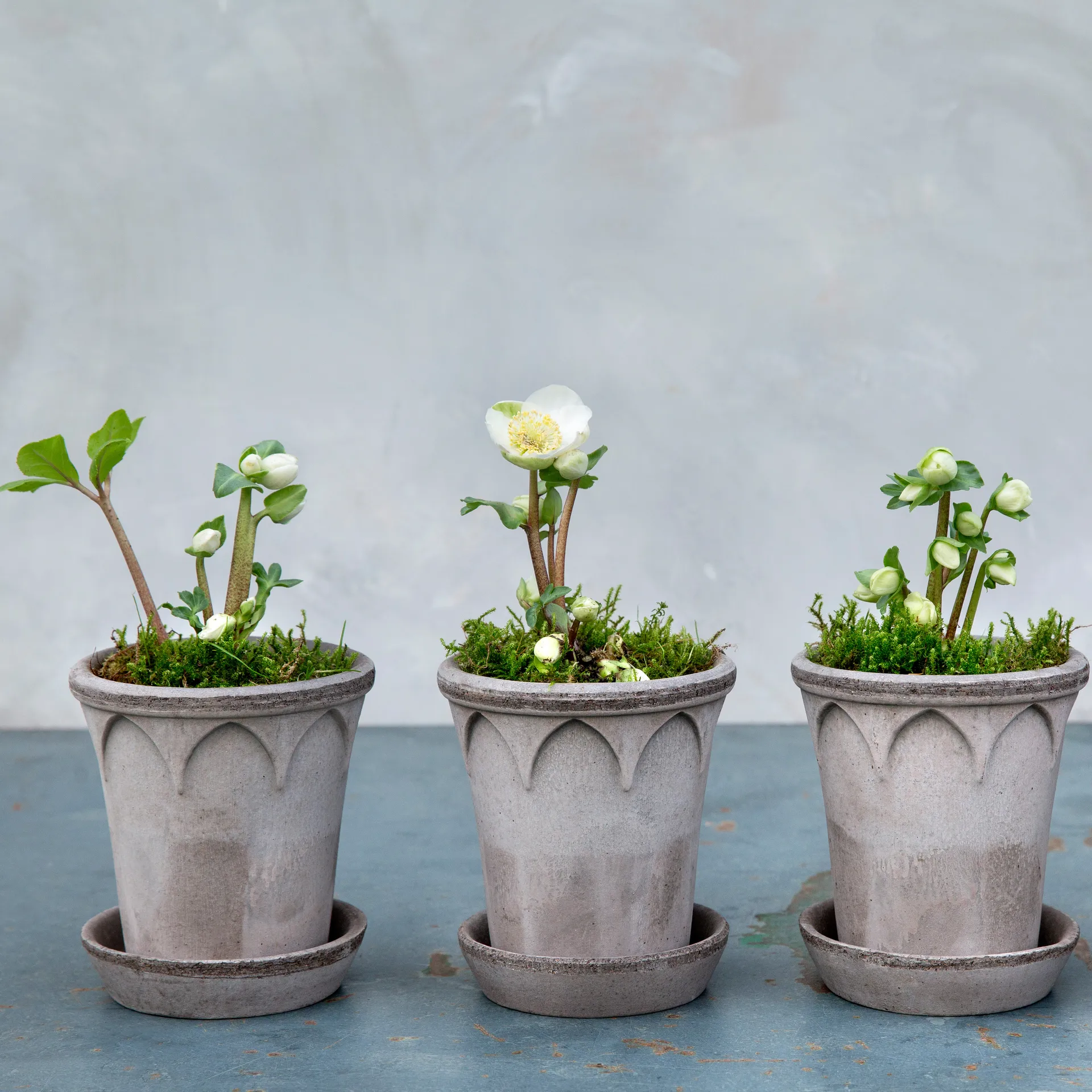 Elizabeth pote de flores Ø14 cm, cinza Bergs Potter