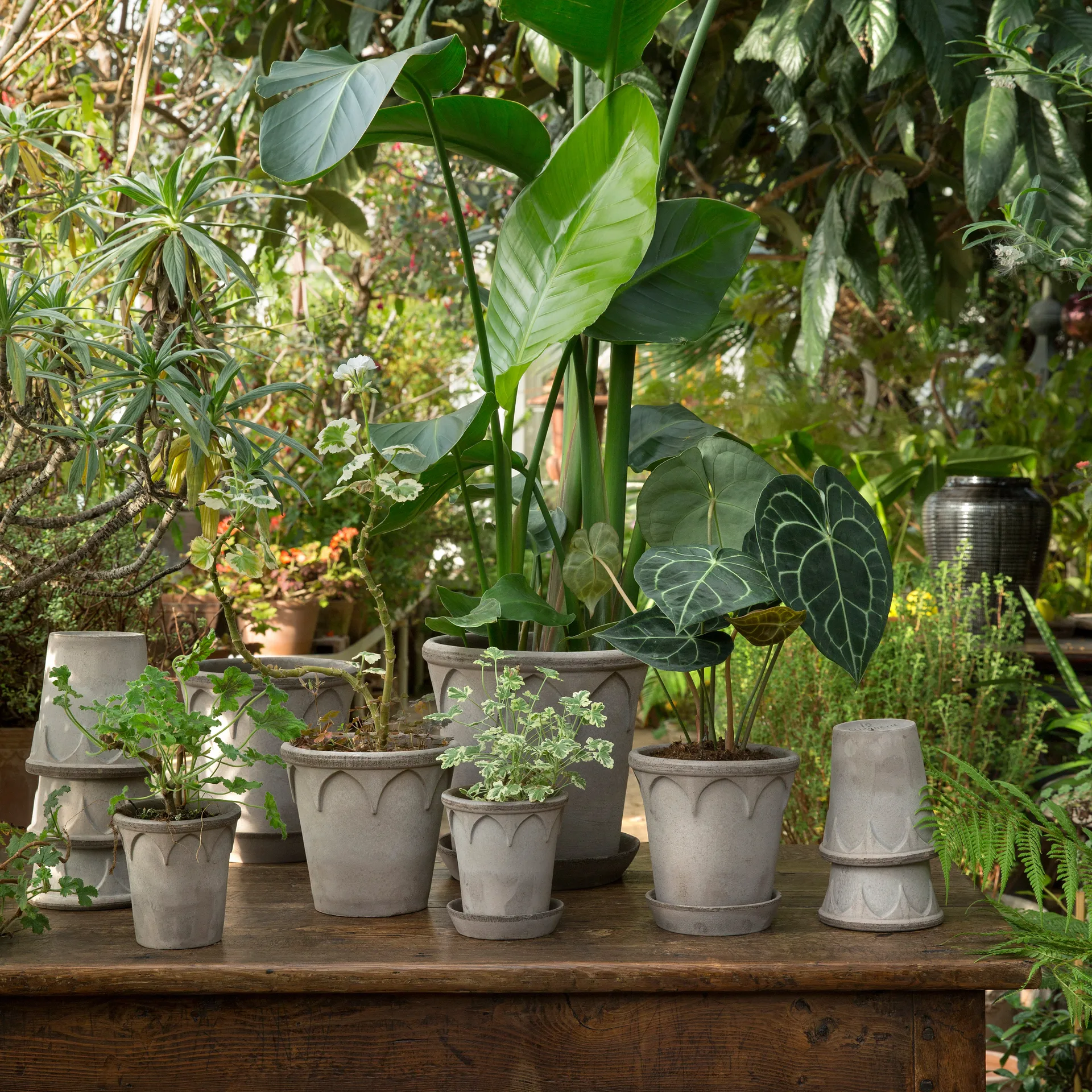 Elizabeth pote de flores Ø16 cm, cinza Bergs Potter