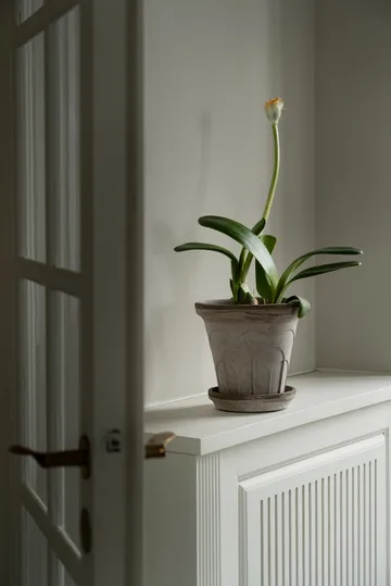 Fleur vaso com prato 2 peças - Cinzento, Ø18 cm - Bergs Potter