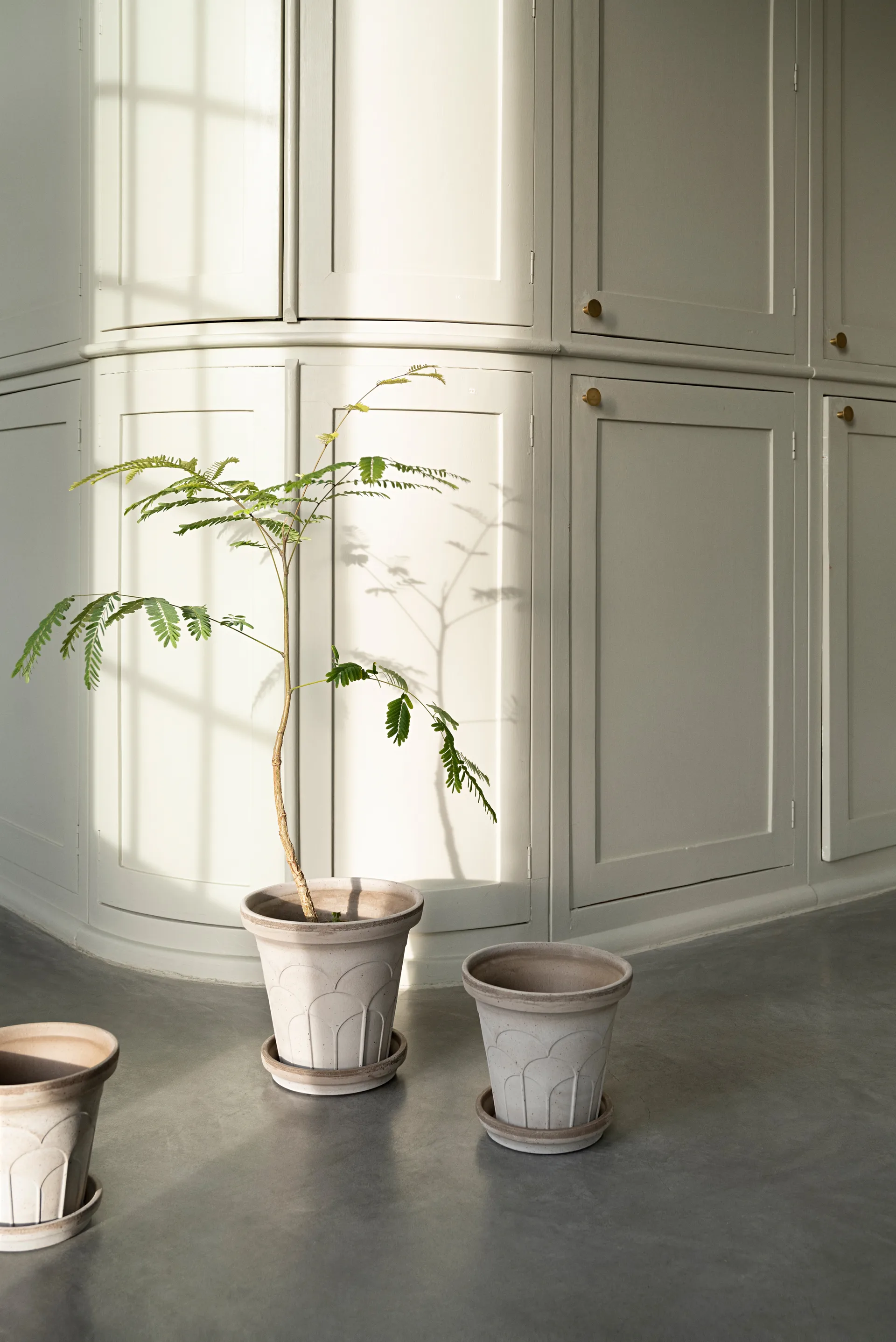 Fleur vaso com prato 2 peças, Cinzento, Ø18 cm Bergs Potter