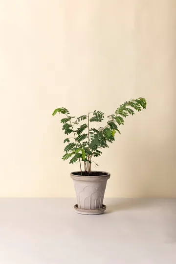 Fleur vaso com prato 2 peças - Grey, Ø21 cm - Bergs Potter