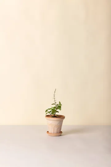 Fleur vaso com prato 2 peças - Rosa, Ø14 m - Bergs Potter