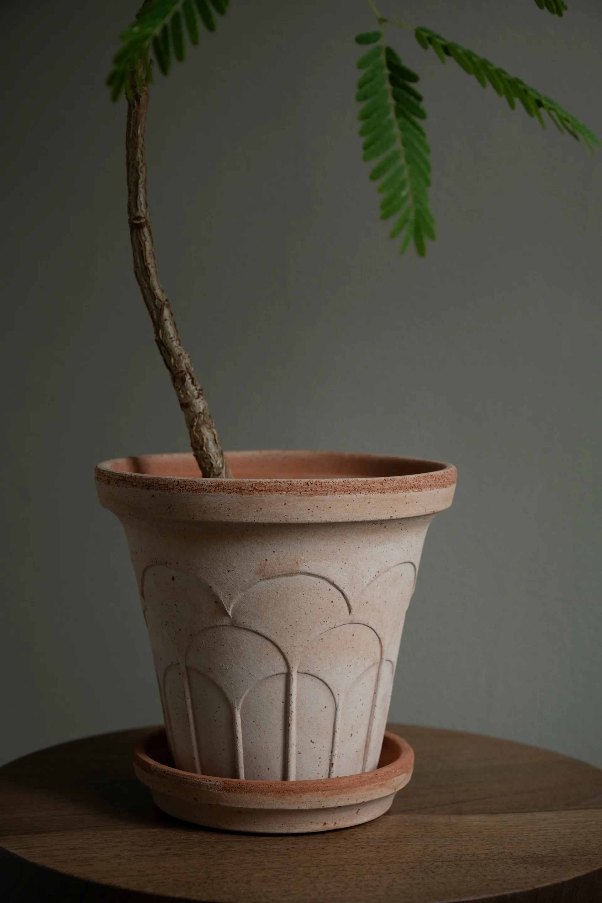 Fleur vaso com prato 2 peças, Rosa, Ø16 cm Bergs Potter