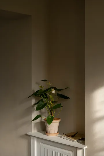 Fleur vaso com prato 2 peças - Rosa, Ø16 cm - Bergs Potter