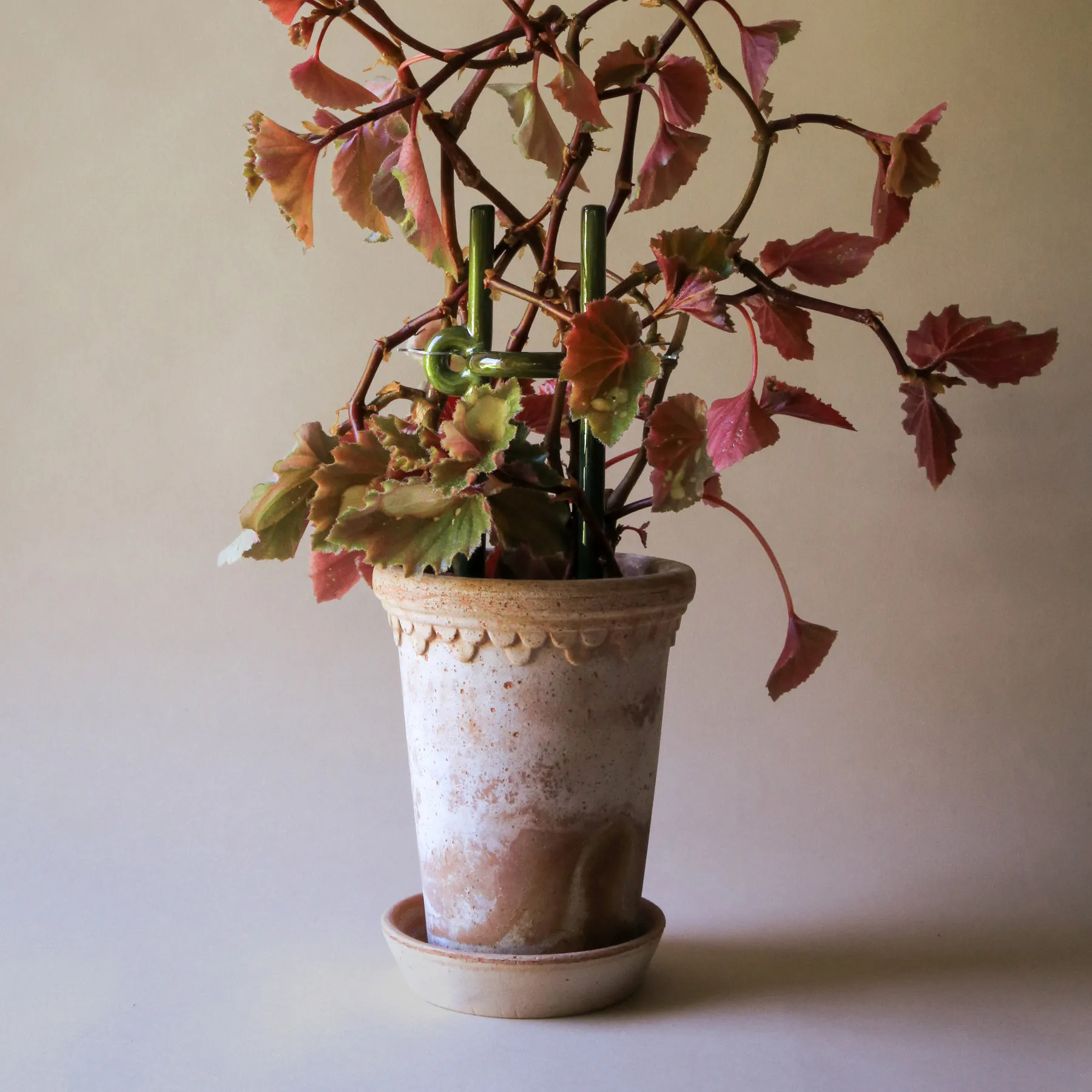 Folk Hinto suporte para plantas, Verde musgo Bergs Potter