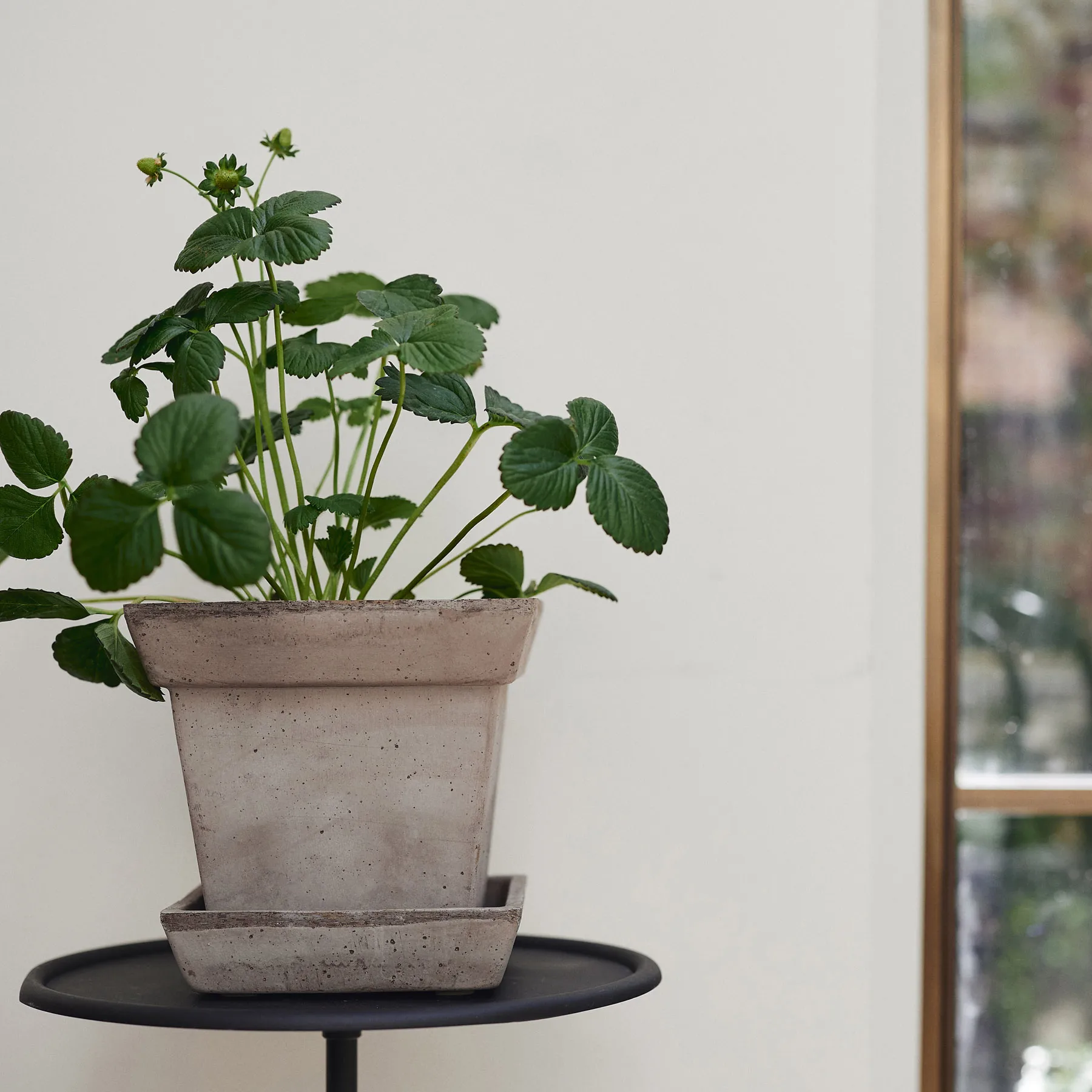 Gaia vaso cru, Cinza, Ø21 cm Bergs Potter