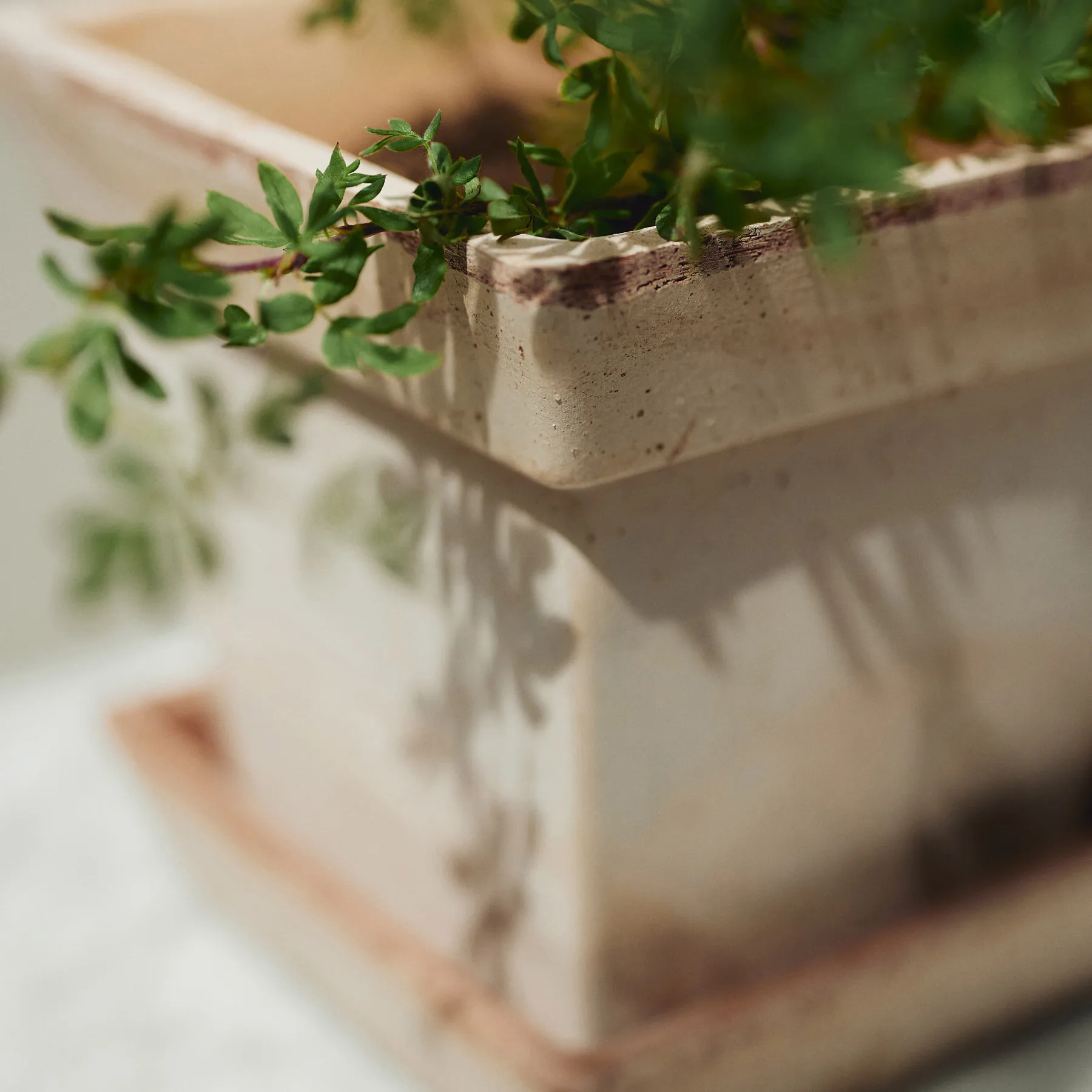 Gaia vaso cru, Rosa, Ø21 cm Bergs Potter