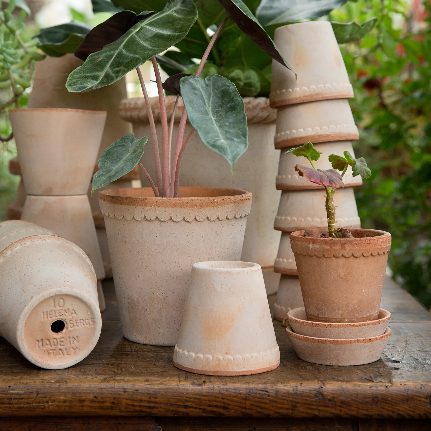 Helena pote de flores Ø10 cm, rosa Bergs Potter