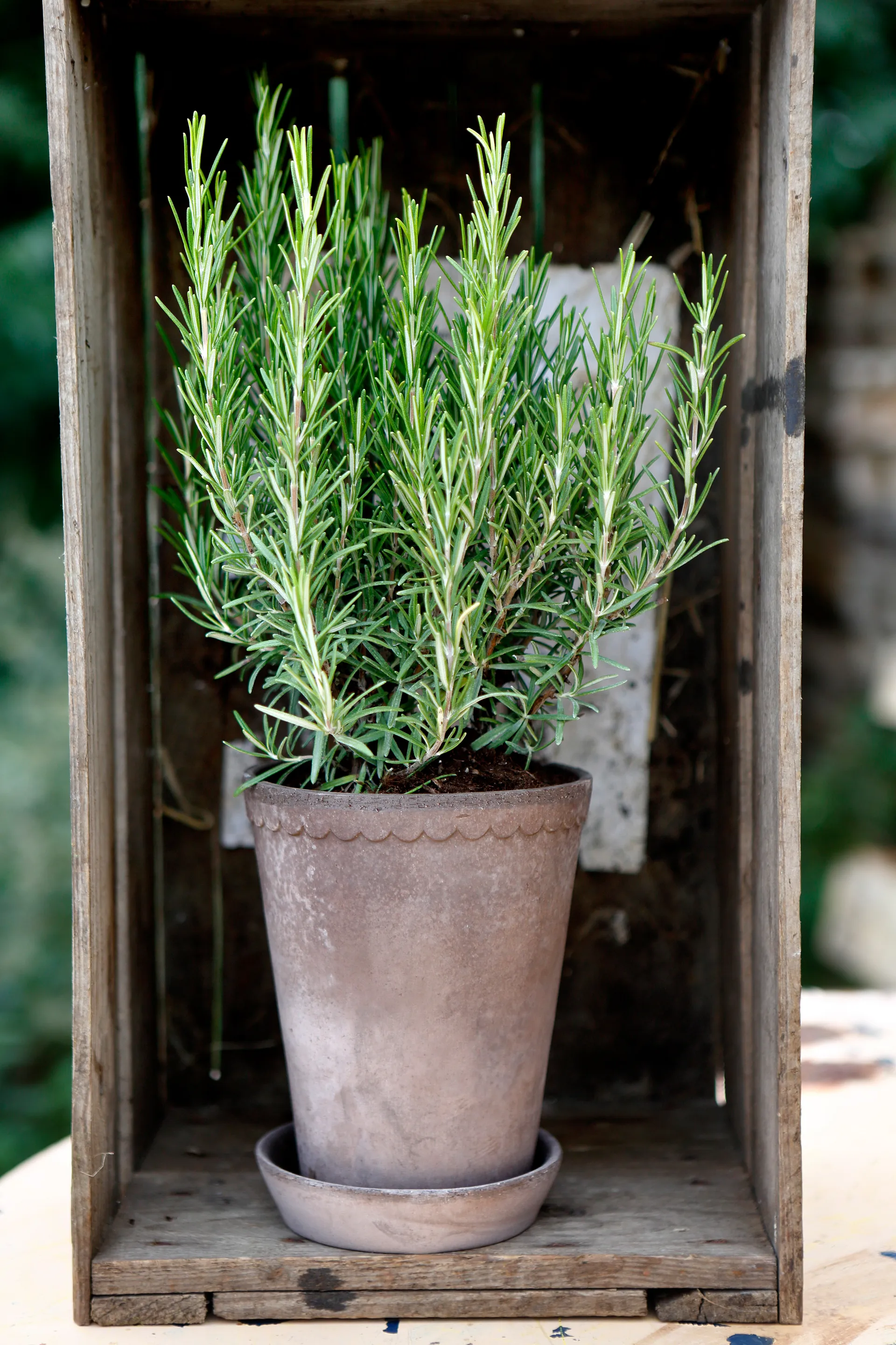 Helena pote de flores alto Ø14 cm, cinza Bergs Potter