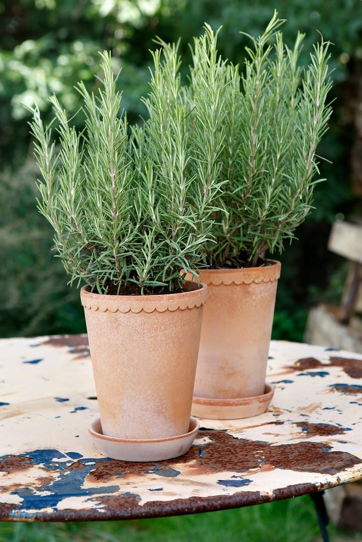 Helena pote de flores alto Ø14 cm, rosa Bergs Potter