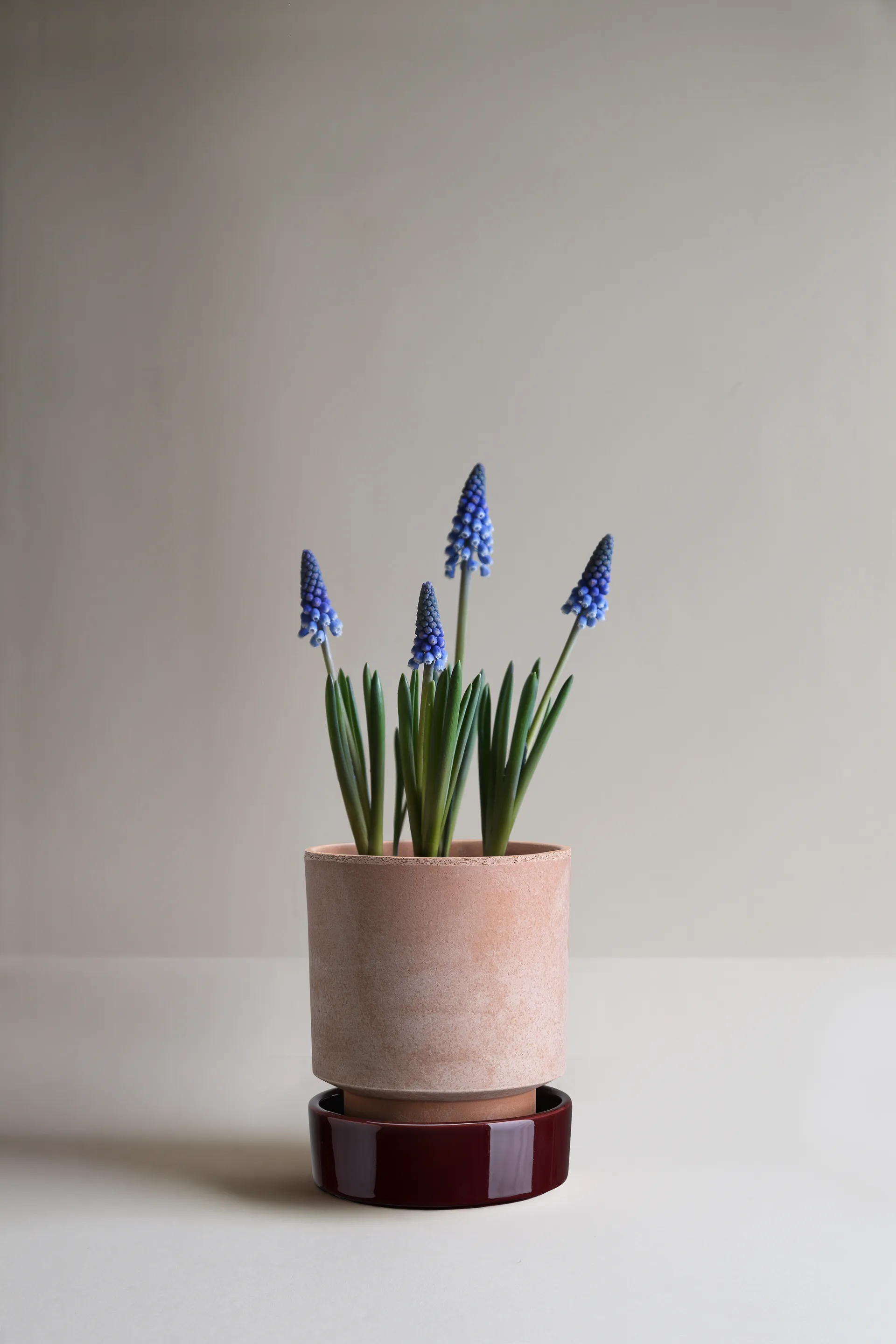 Hoff vaso, Ø14 cm, Raw Rosa-Deep Burgundy Bergs Potter