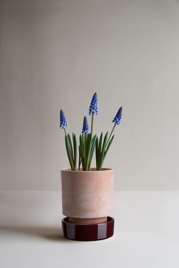 Hoff vaso - Ø14 cm, Raw Rosa-Deep Burgundy - Bergs Potter