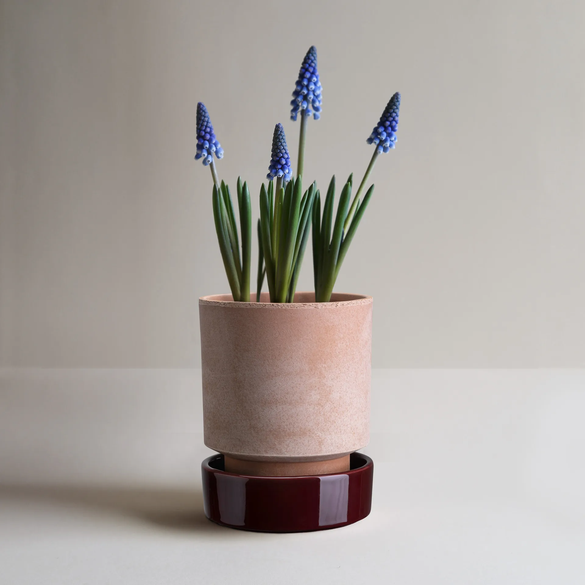 Hoff vaso, Ø16 cm, Raw Rosa-Deep Burgundy  (rosa-vermelho) Bergs Potter