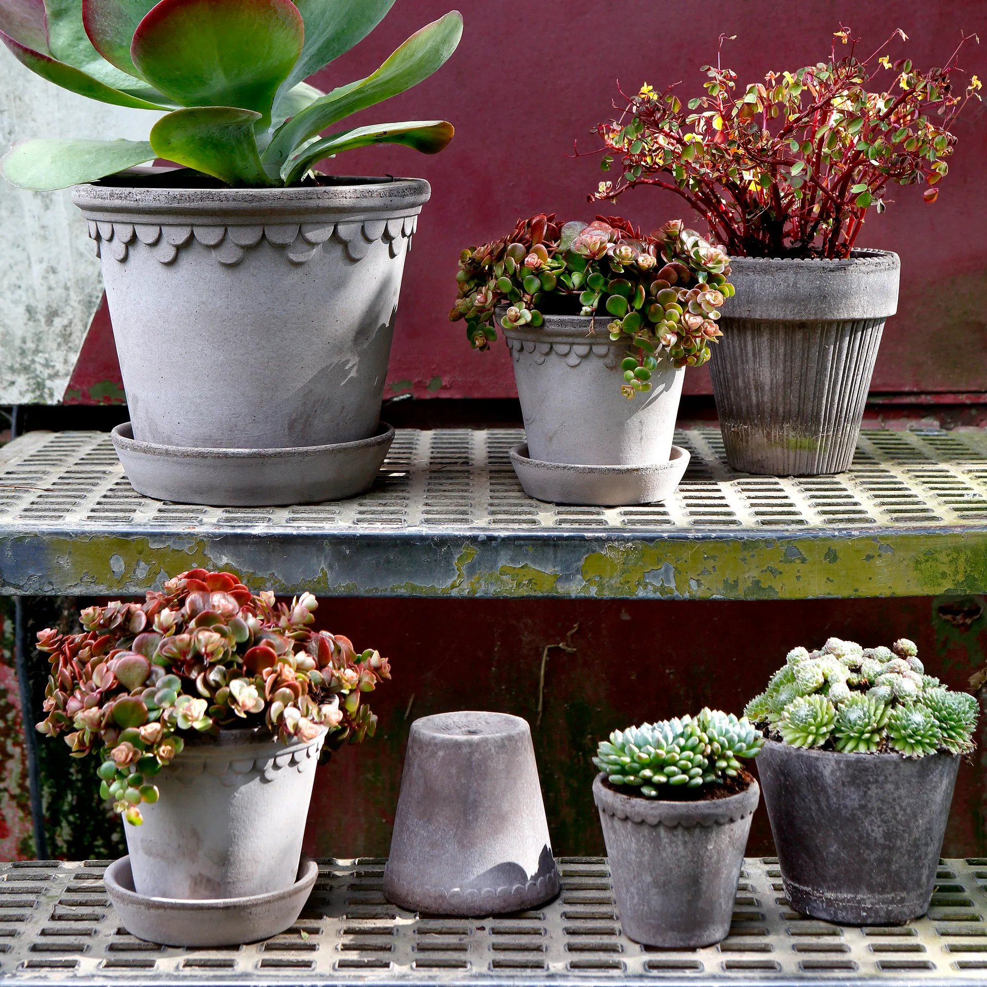 Københavner pote de flores Ø10 cm, Cinza Bergs Potter