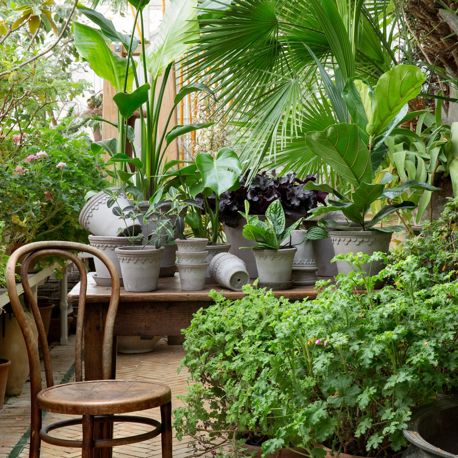 Københavner pote de flores Ø12 cm, cinza Bergs Potter