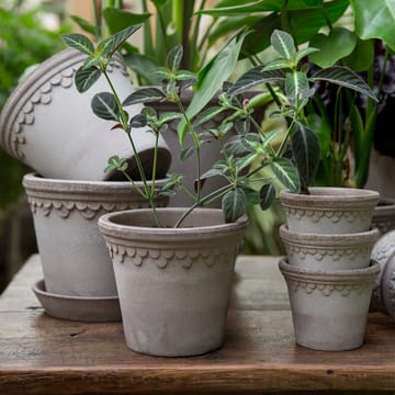 Københavner pote de flores Ø14 cm - Cinza - Bergs Potter