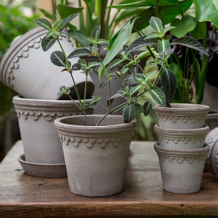 Københavner pote de flores Ø14 cm, Cinza Bergs Potter