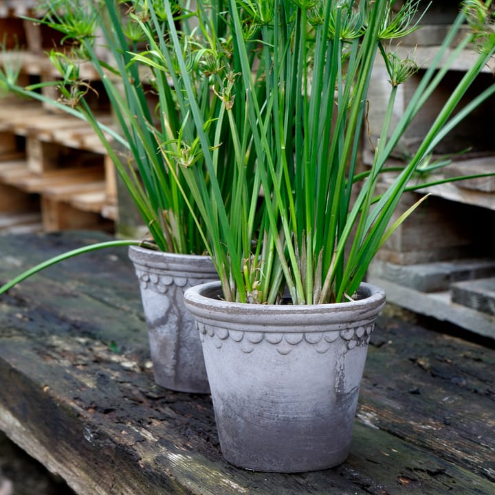 Københavner pote de flores Ø18 cm, Cinza Bergs Potter