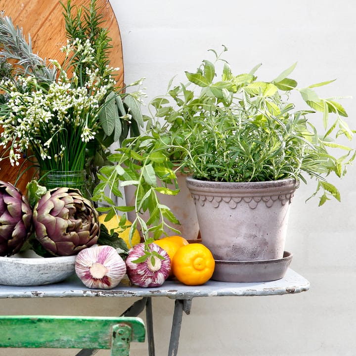 Københavner pote de flores 21 cm, Cinza Bergs Potter