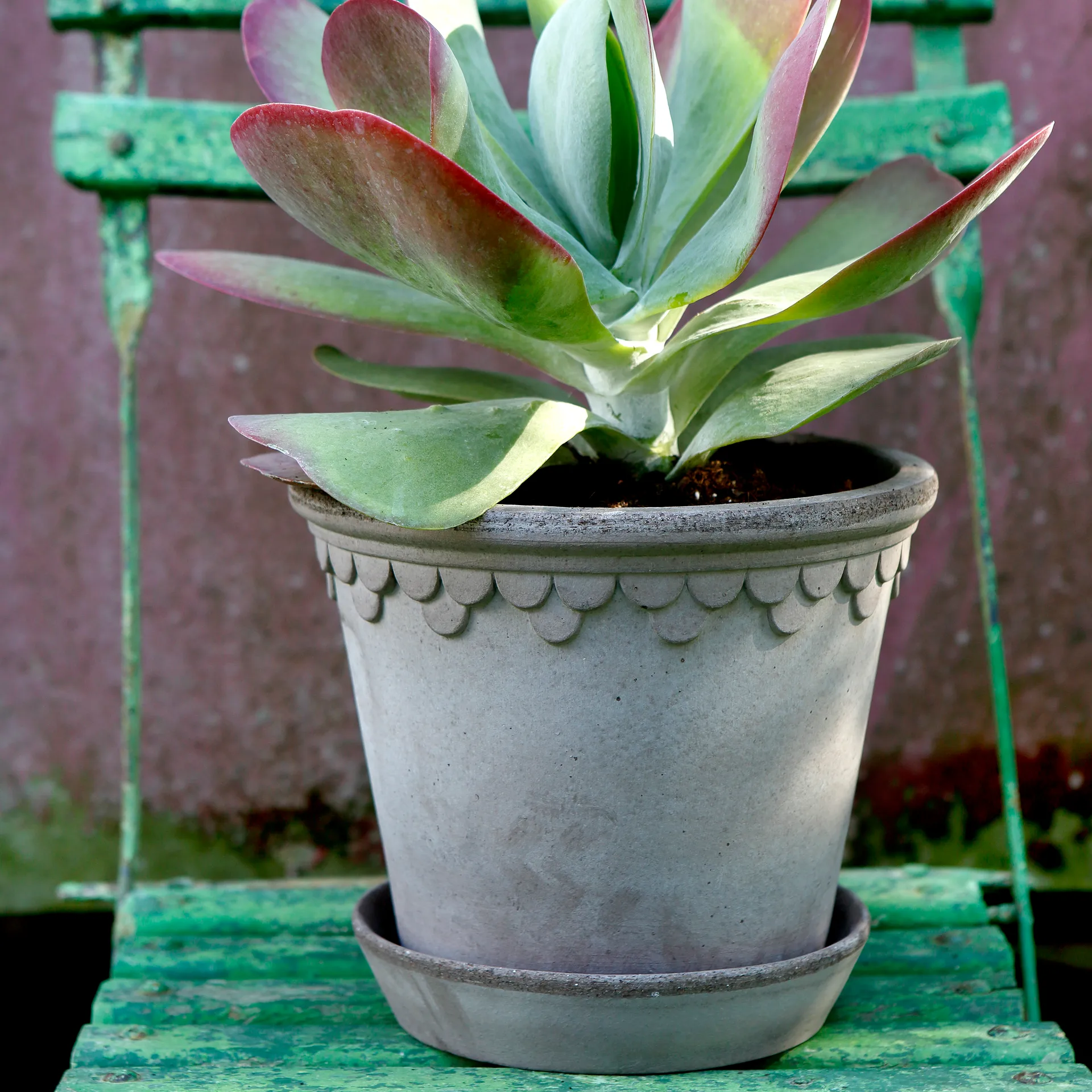 Københavner pote de flores 21 cm, Cinza Bergs Potter