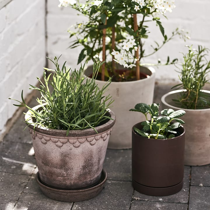 Københavner pote de flores 21 cm, Cinza Bergs Potter